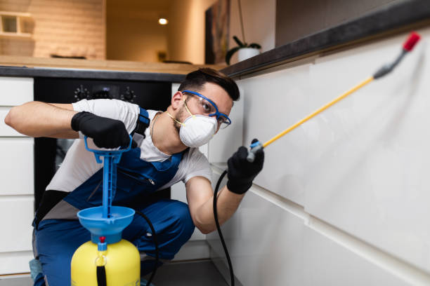 Best Cockroach Control Services  in Wurtland, KY