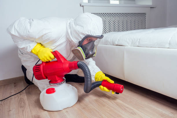 Best Bed Bug Extermination  in Wurtland, KY