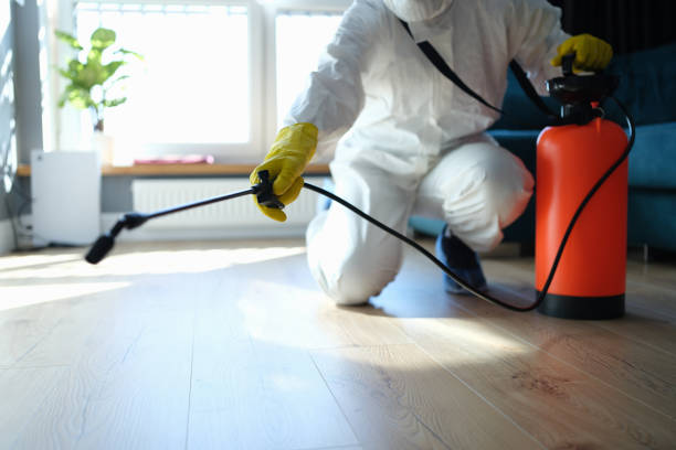 Best Wasp Removal Services  in Wurtland, KY