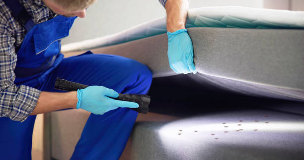 Pest Control for Restaurants in Wurtland, KY